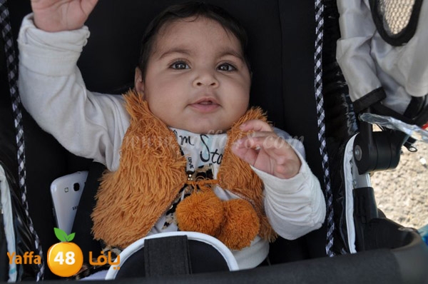 3eed lud 1116 (61).JPG